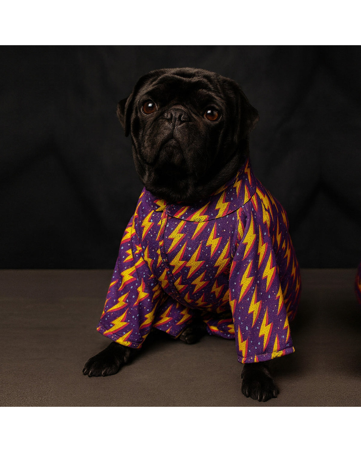 Polar Astarlı Şimşek Desenli Köpek Yağmurluk Tulum Alphadog Thunder Coverall