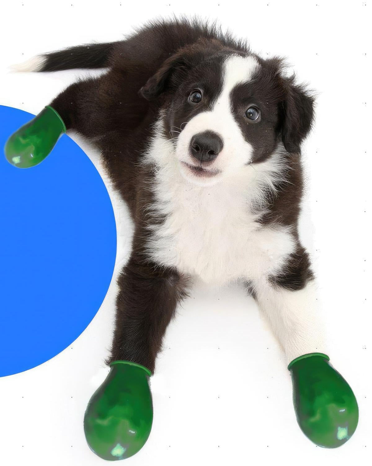 Alphadog Walkies Köpek Galoşu Yeşil
