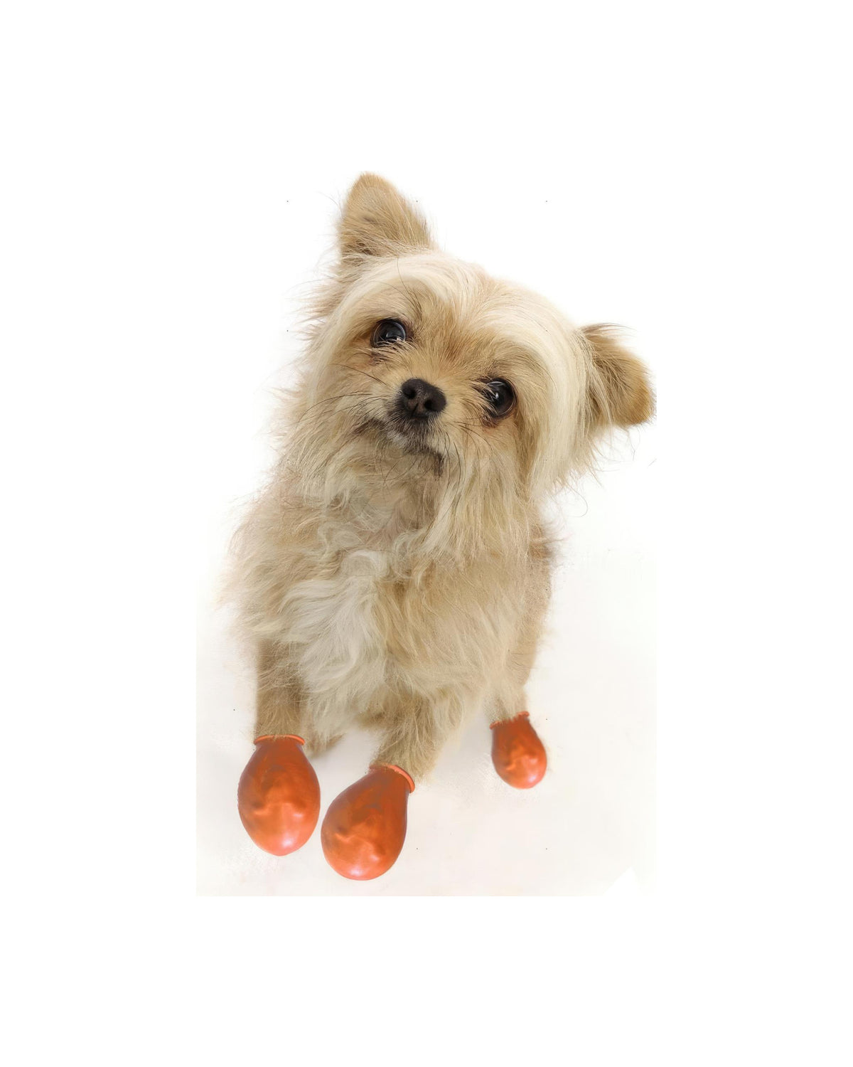 Alphadog Walkies Köpek Galoşu Turuncu
