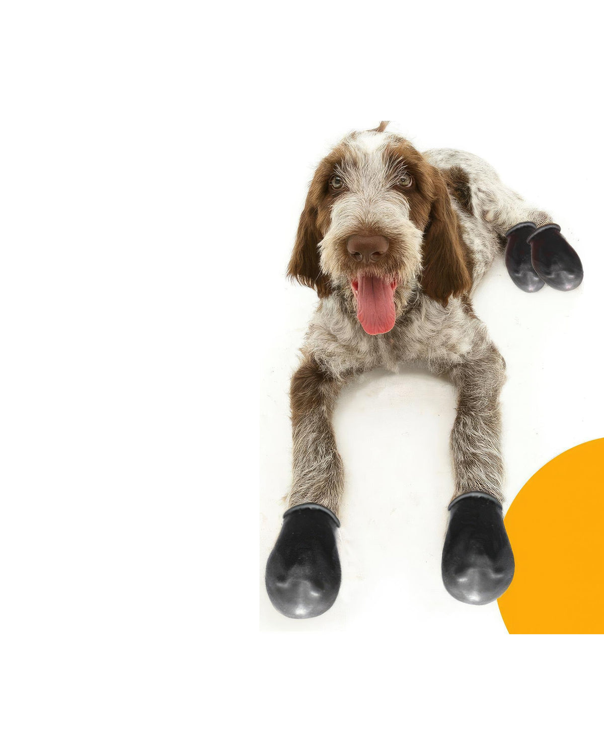 Alphadog Walkies Köpek Galoşu Siyah