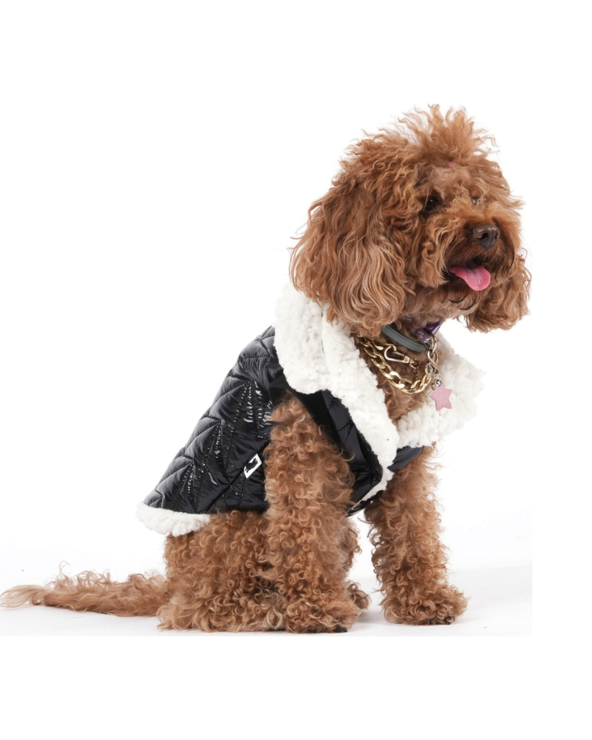 Peluş Yakalı Parlak Kapitone Siyah Köpek Yeleği Doredog