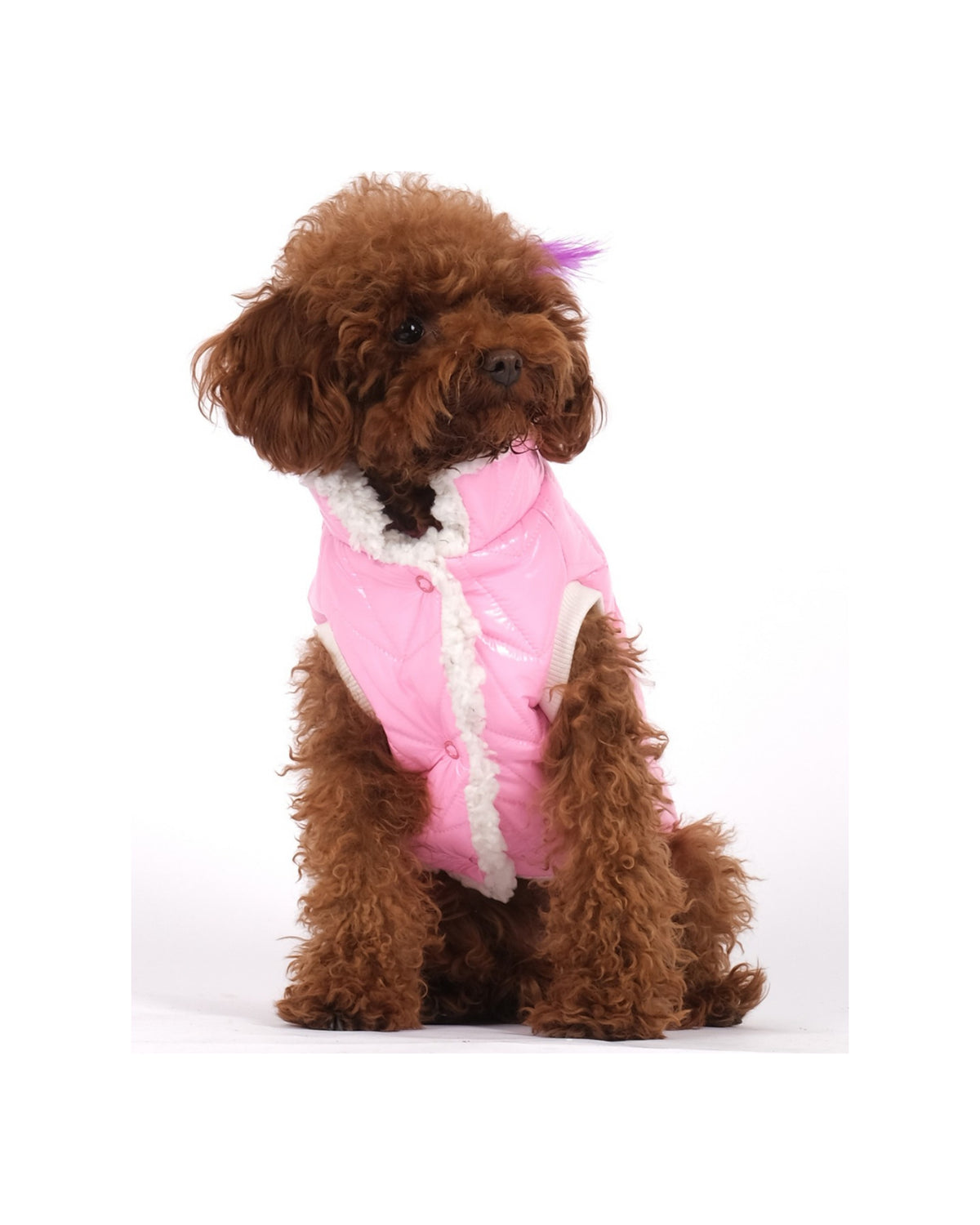 Peluş Yakalı Parlak Kapitone Pembe Köpek Yeleği Doredog