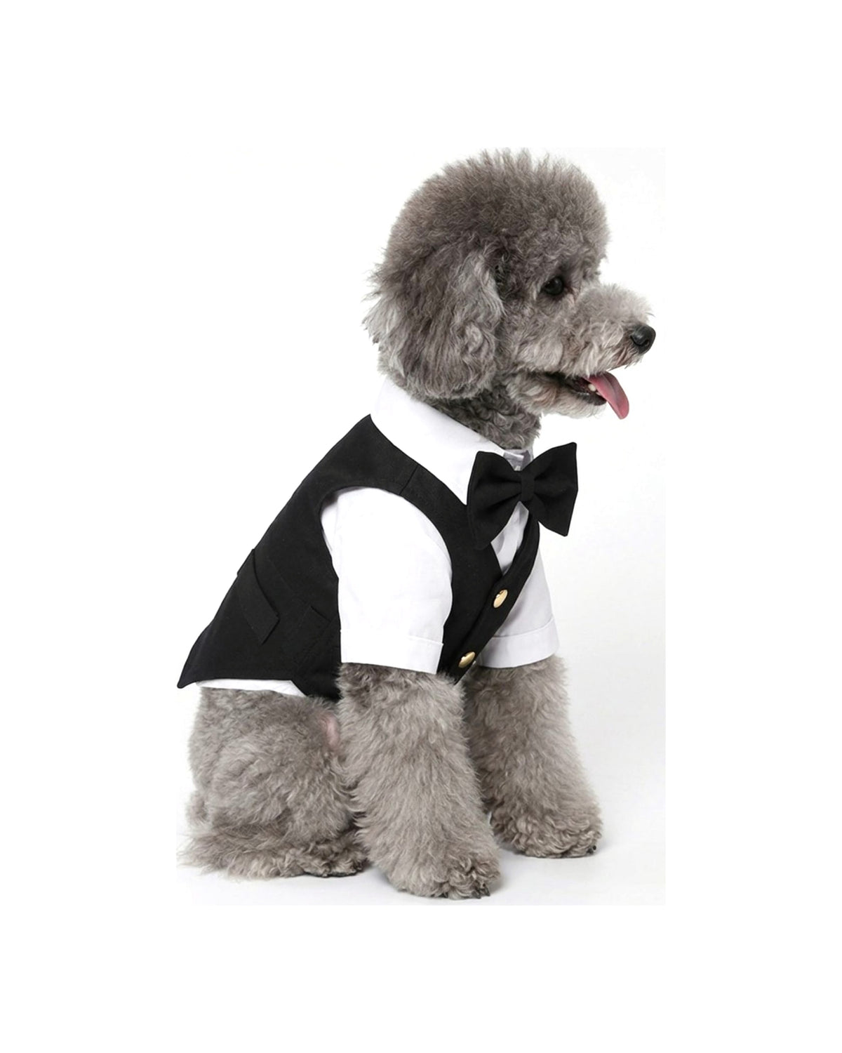 Papyonlu Siyah Yelekli Köpek Damatlığı Doredog