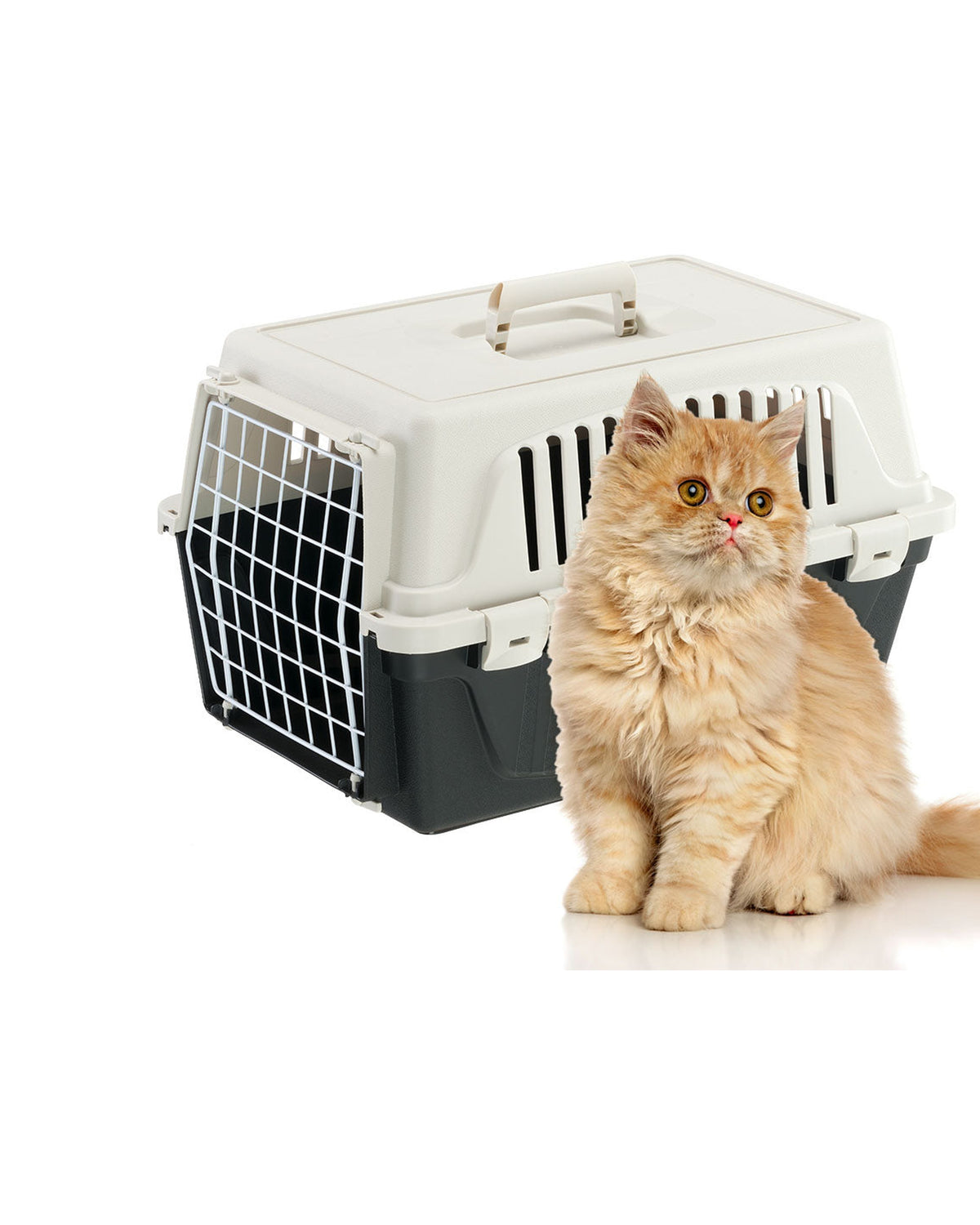 Kedi ve Küçük Köpek Plastik Taşıma Kafesi Ferplast Atlas 10 EL