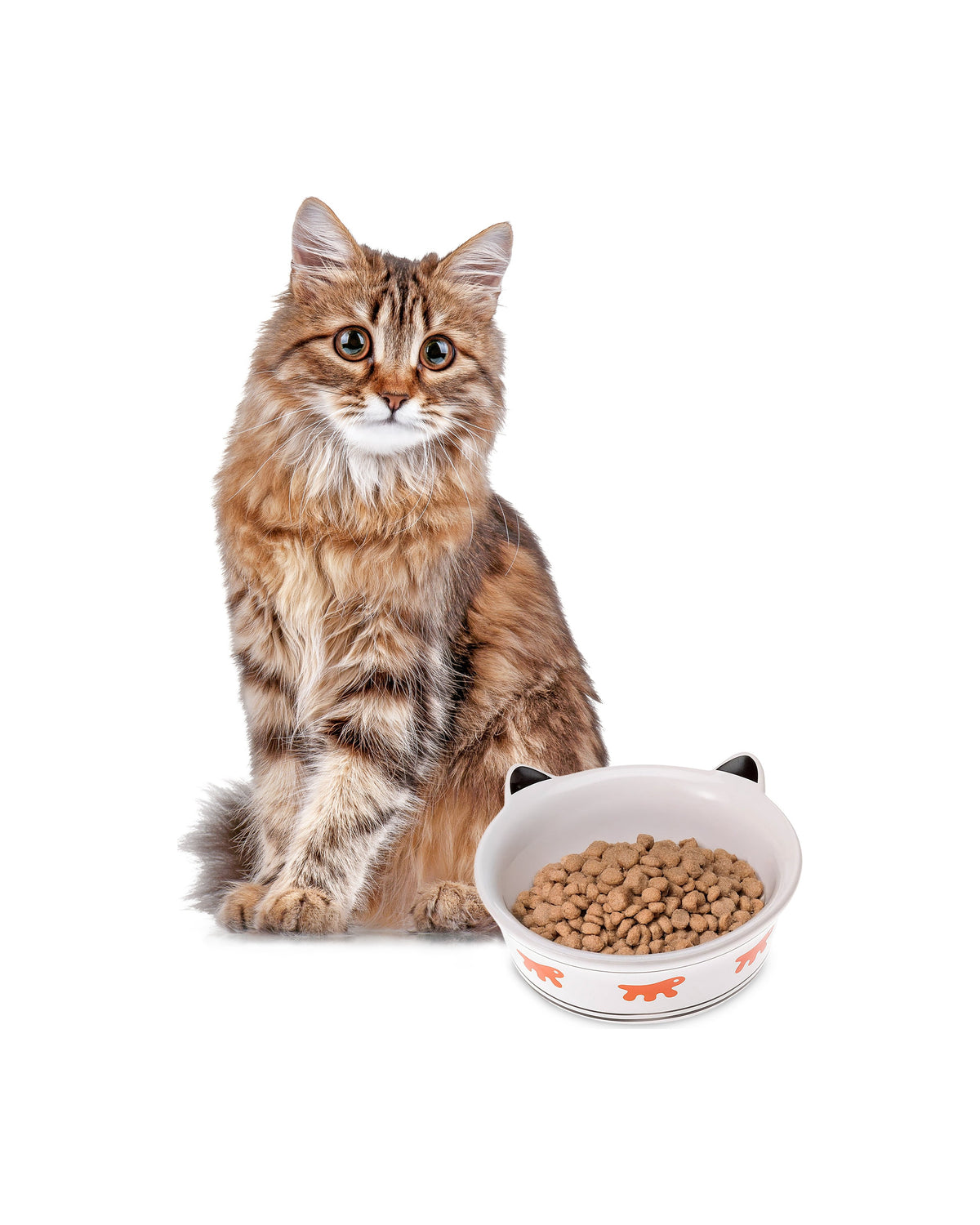 Kedi Yüzü Desenli Seramik Kedi Mama Kabı Ferplast Venere Small