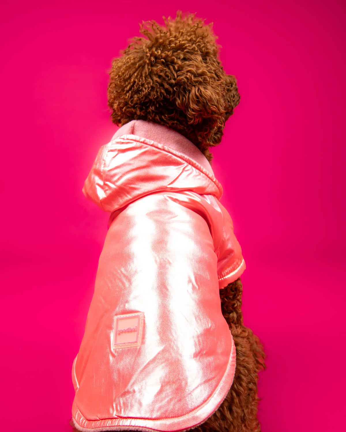 Kapüşonlu Neon Pembe Parlak Köpek Montu Goodboi