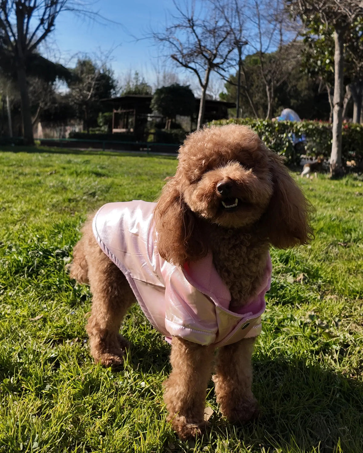Kapüşonlu Neon Pembe Parlak Köpek Montu Goodboi