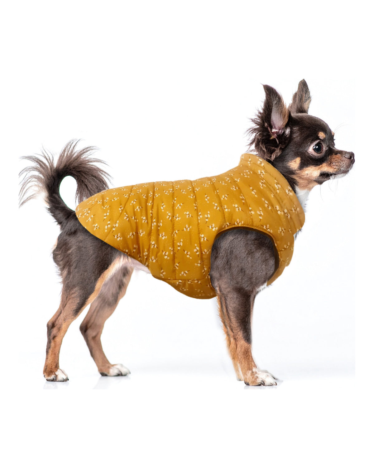 Çift Taraflı Şişme Köpek Montu Milk&Pepper Lily Reversible Down Jacket