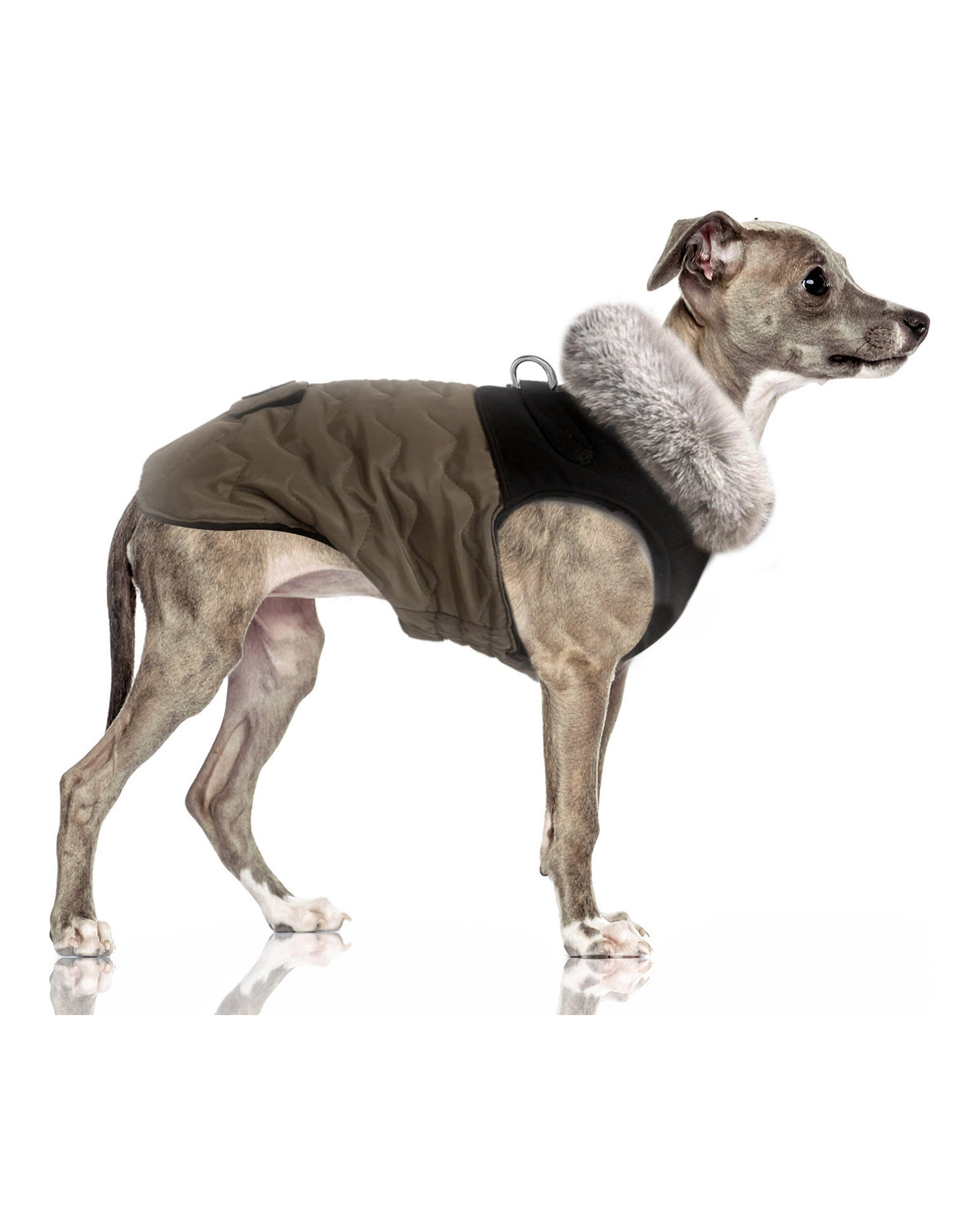 Göğüs Tasmalı Şişme Köpek Montu Milk&Pepper Auguste Harness Down Jacket Kahverengi