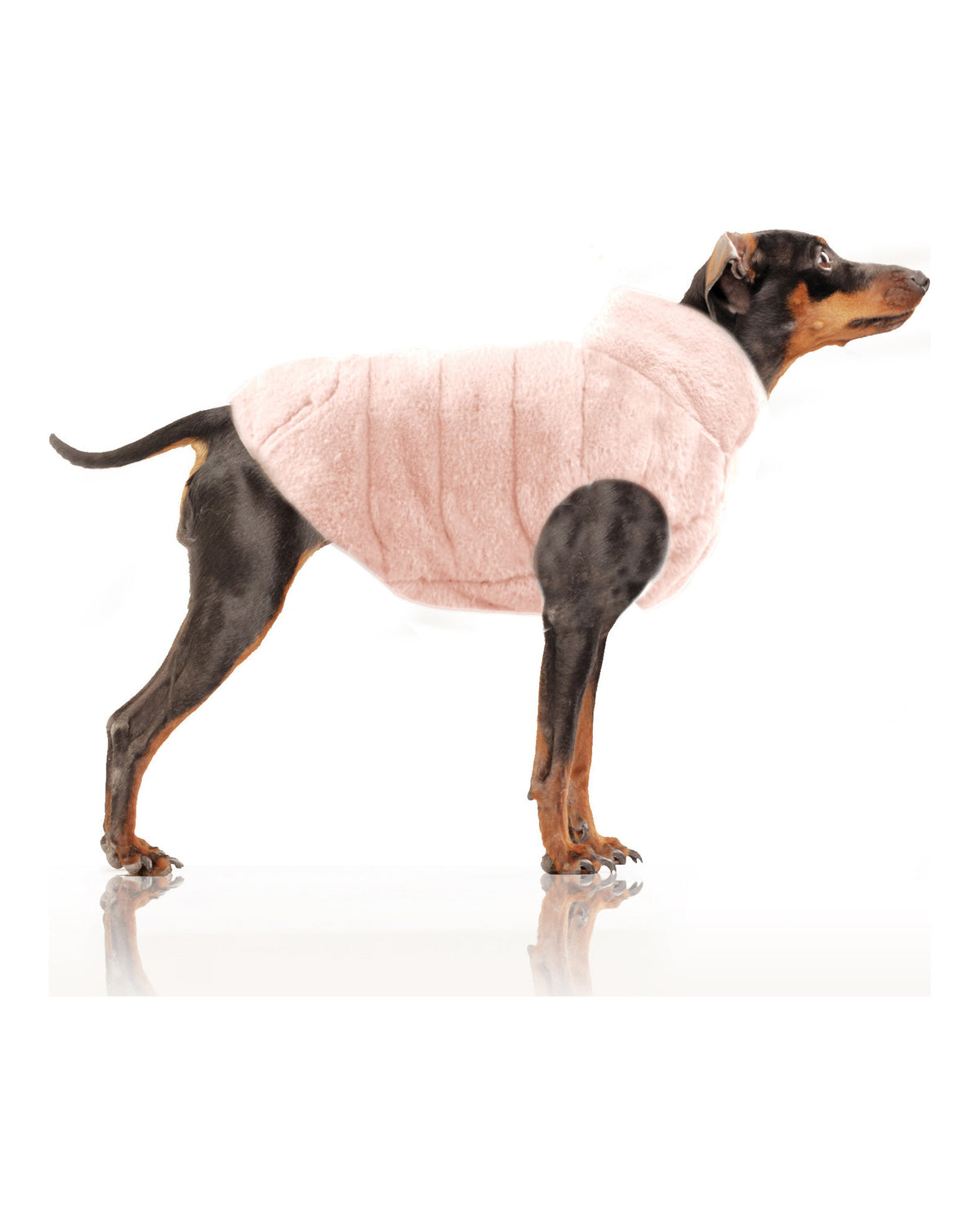 Çift Taraflı Şişme Köpek Montu Milk&Pepper Louise Reversible Puff Jacket