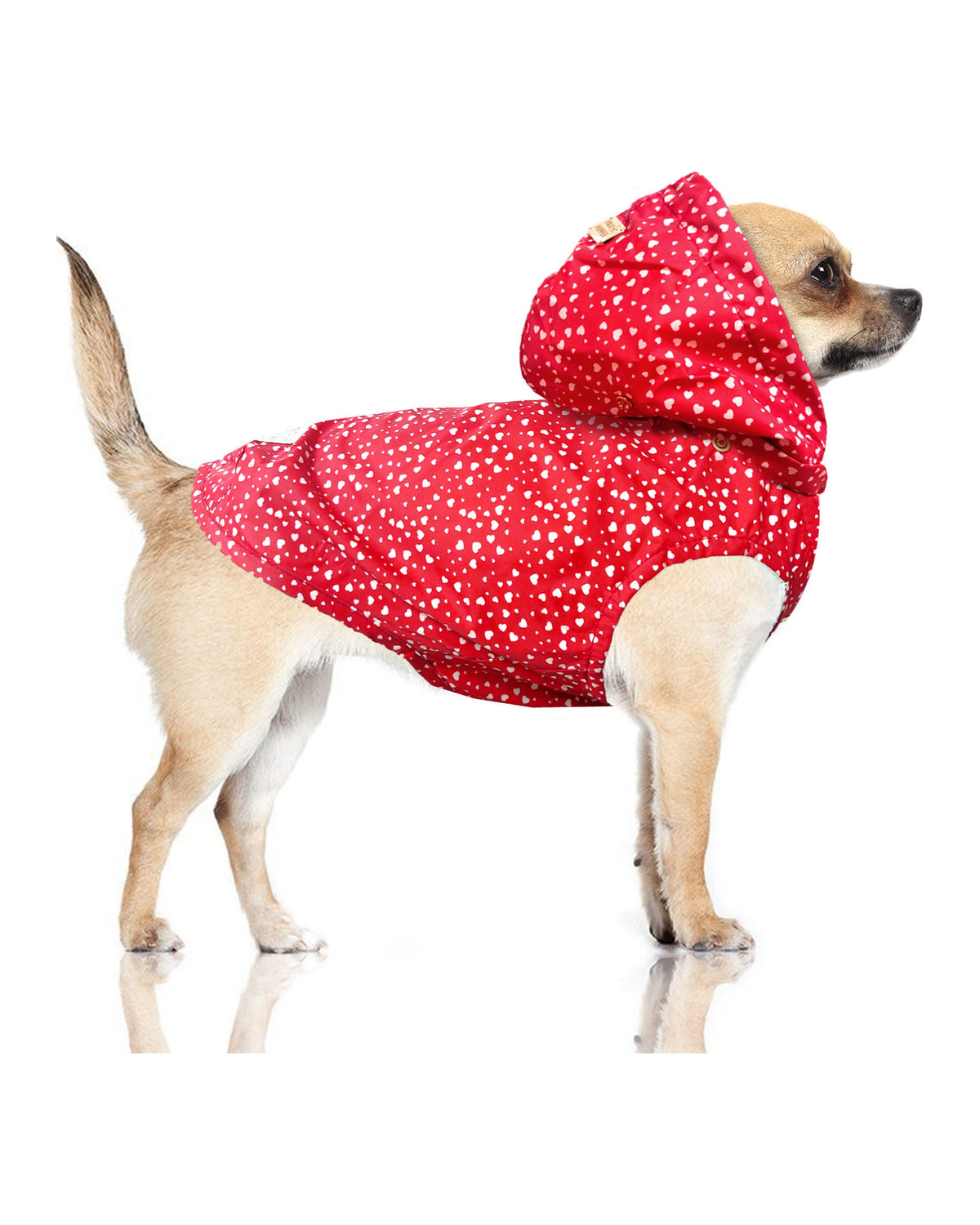 Kalp Desenli Kapüşonlu Köpek Yağmurluğu Milk&Pepper Cyrielle Raincoat Kırmızı