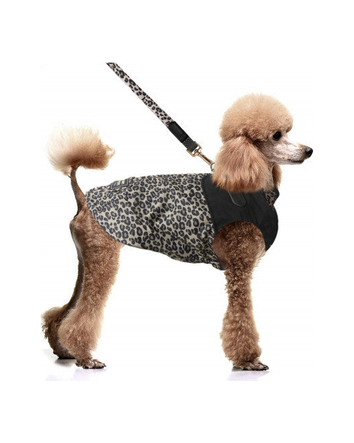 Göğüs Tasmalı Su Geçirmez Köpek Yağmurluğu Milk&Pepper Hawa Leopar