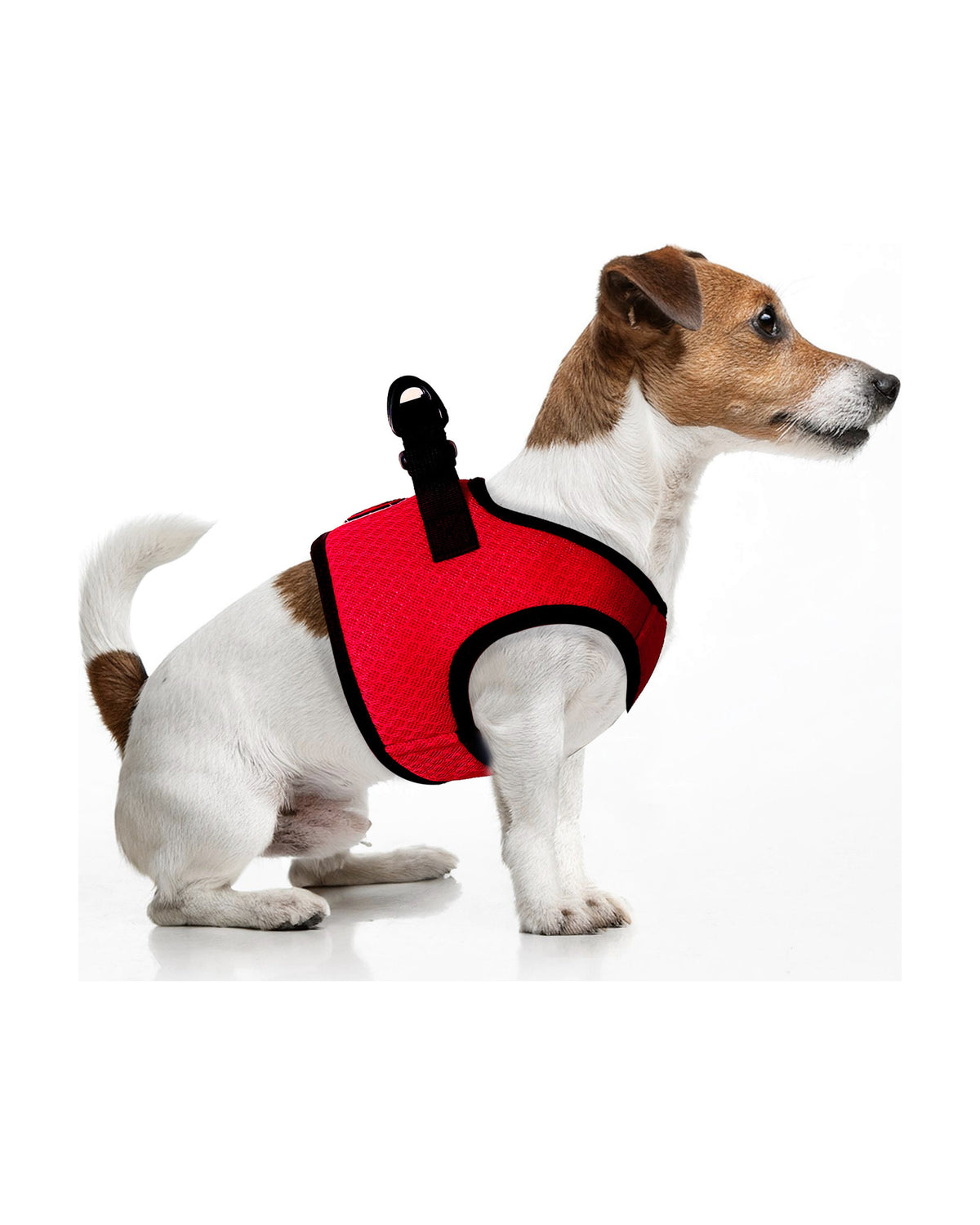 Serinletici Yelek Köpek Göğüs Tasması Milk&Pepper Fresh Cooler Harness Kırmızı