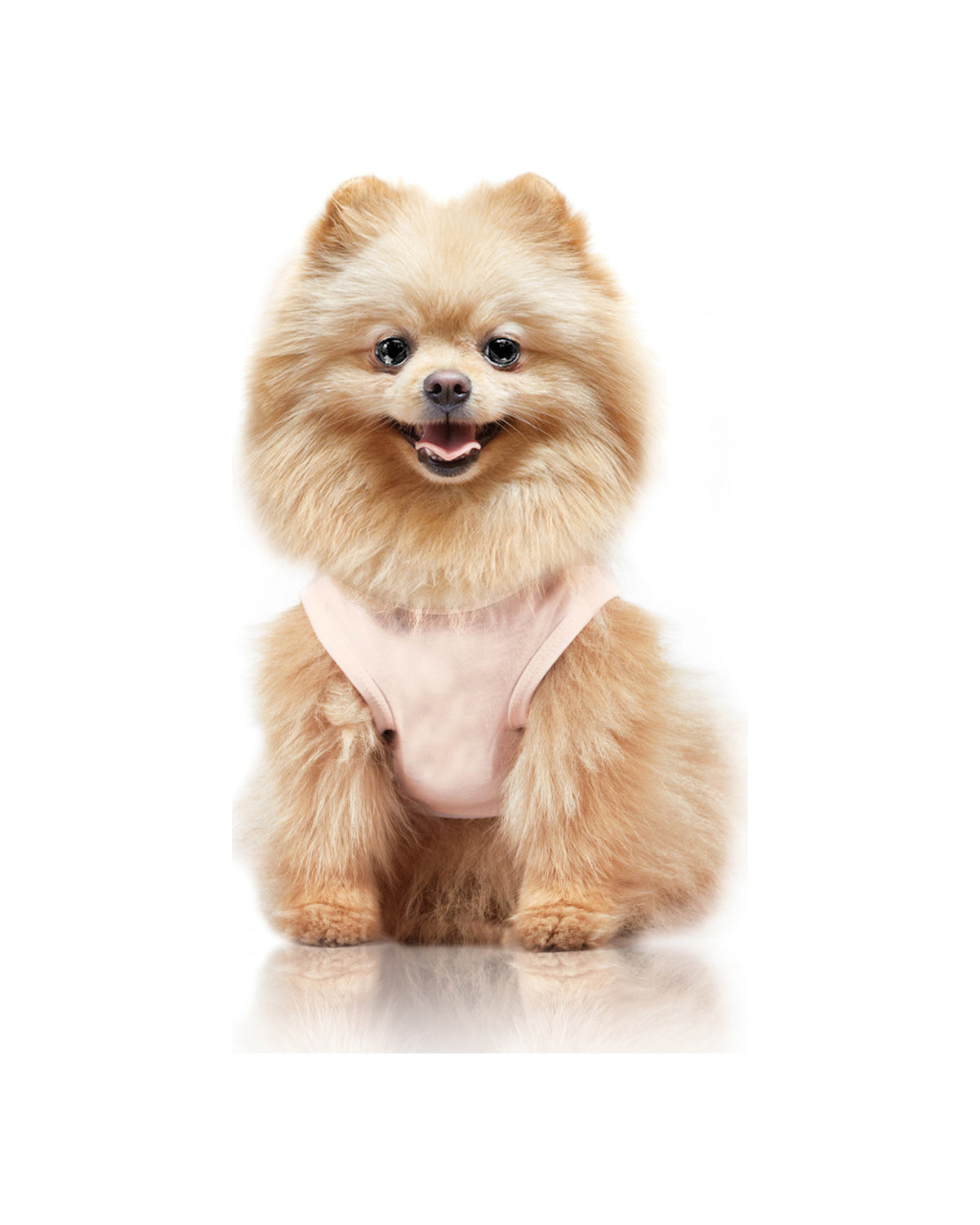 Be Happy İşlemeli Köpek Tişörtü Milk&Pepper Azumi T-shirt Pembe