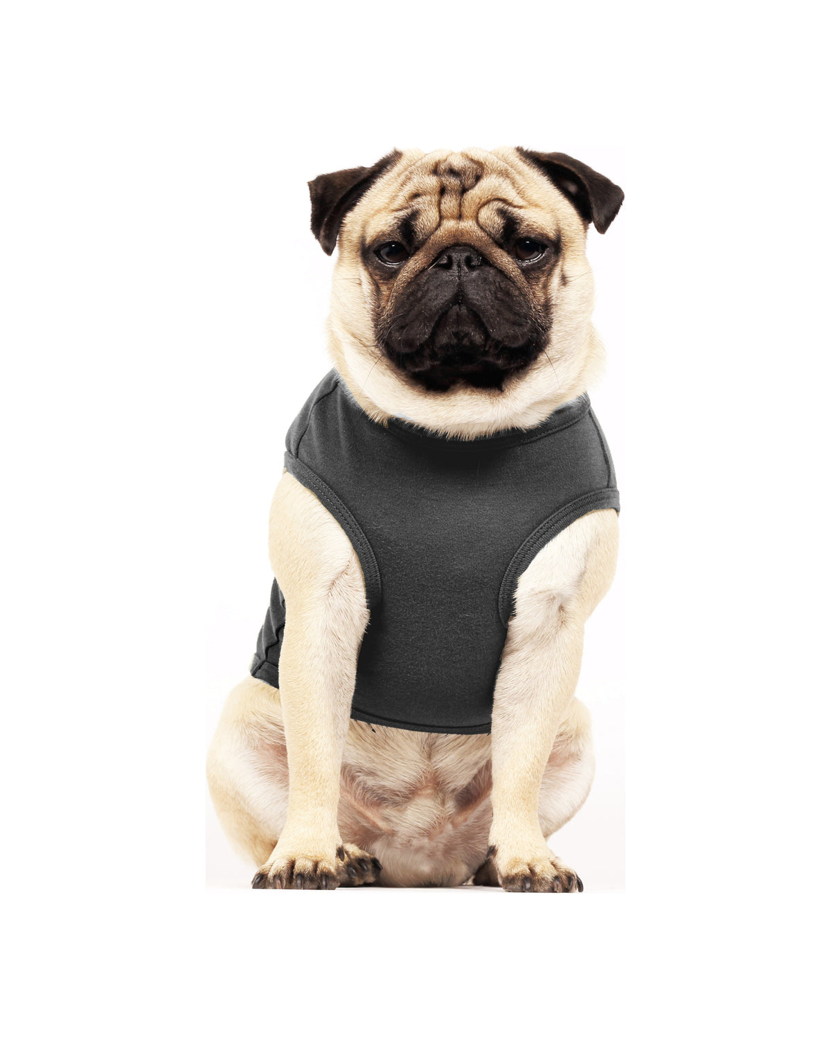 Eyfel Kulesi Baskılı Köpek Tişörtü Milk&Pepper Augustin T-Shirt Antrasit