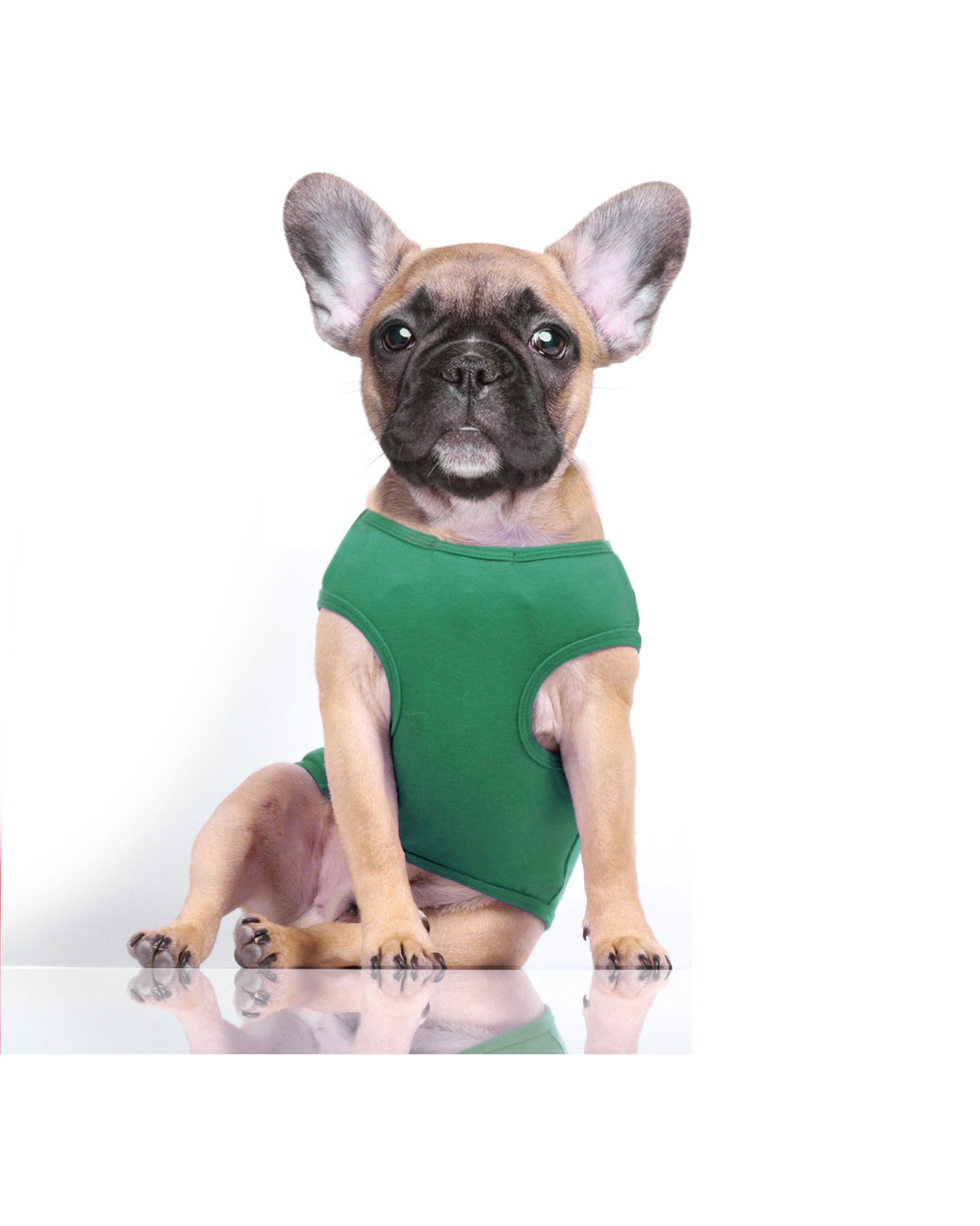 Simli Baskılı Pamuklu Köpek Tişörtü Milk&Pepper Bianca T-shirt Yeşil