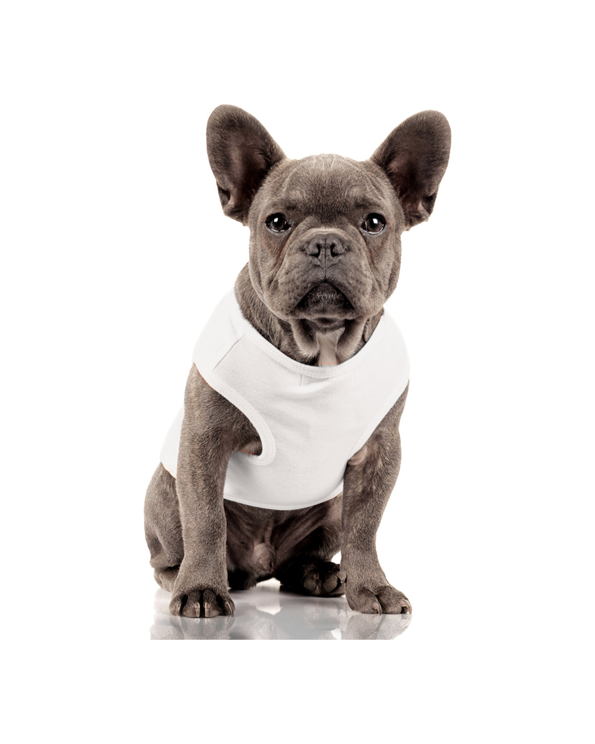 Baskılı Köpek Tişörtü Milk&Pepper Paulin T-shirt Ekru