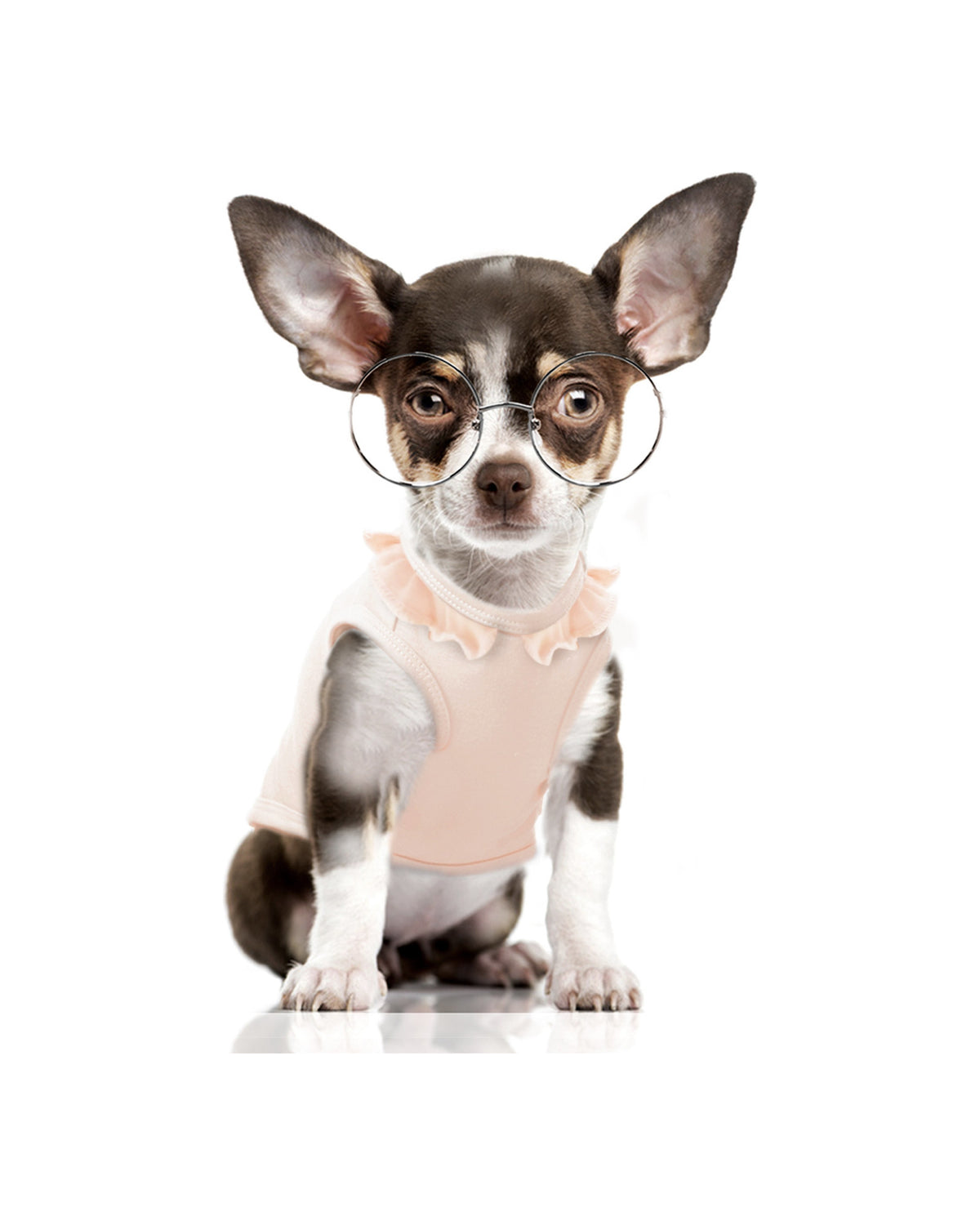 Fırfır Yakalı Pamuklu Köpek Tişörtü Milk&Pepper Justine T-Shirt Pudra Pembe