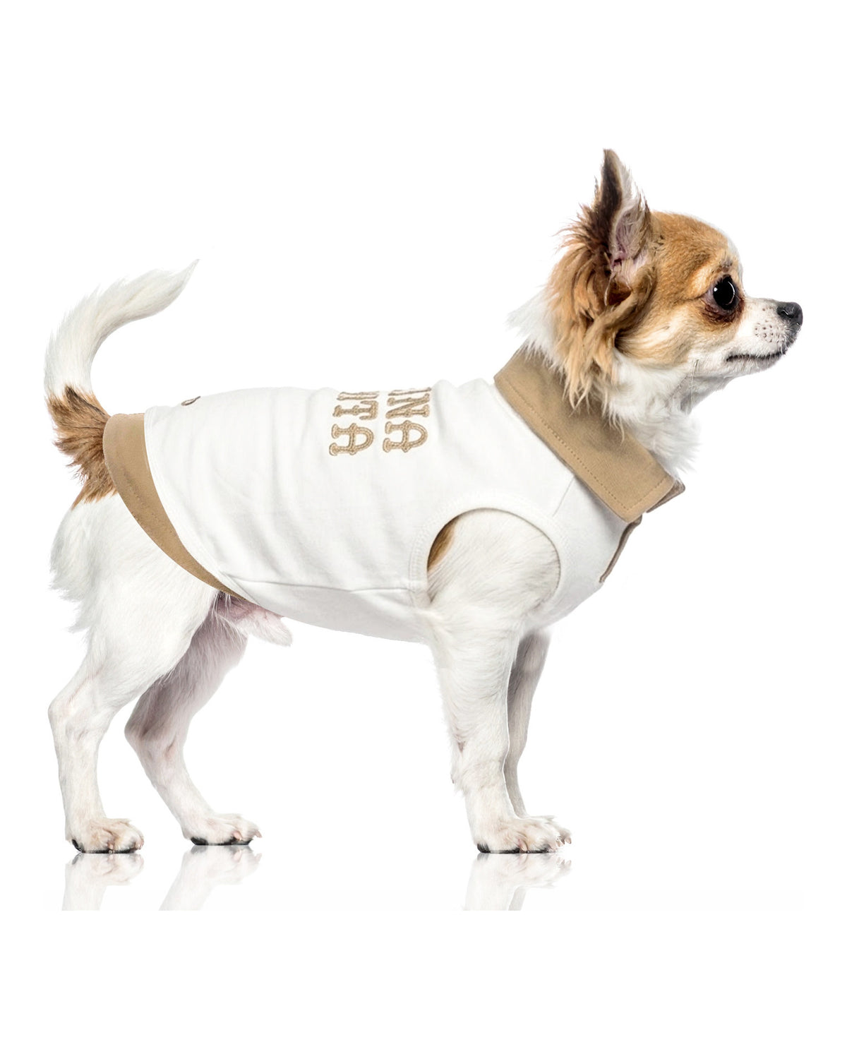 Nakışlı Pamuklu Köpek Tişörtü Milk&Pepper Bakari T-shirt Kırık Beyaz