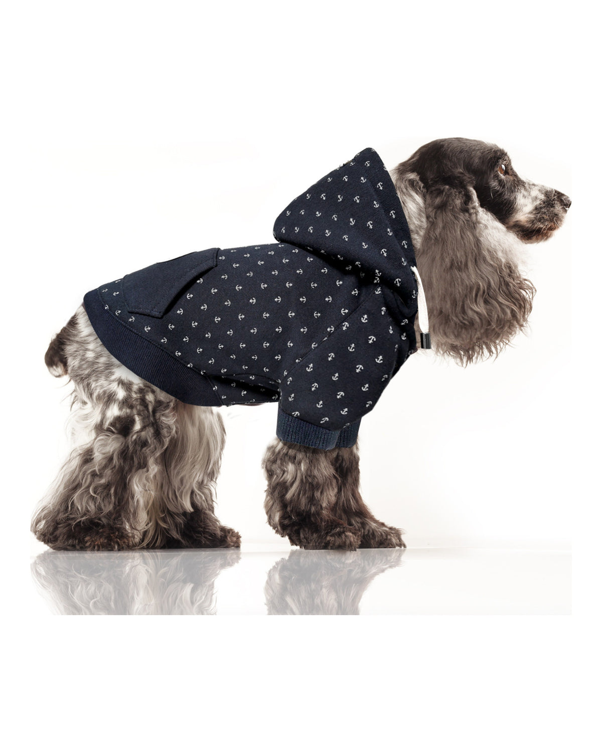Çapa Desenli Kapüşonlu Köpek Sweatshirt Milk&Pepper Ewen Hoodie Lacivert