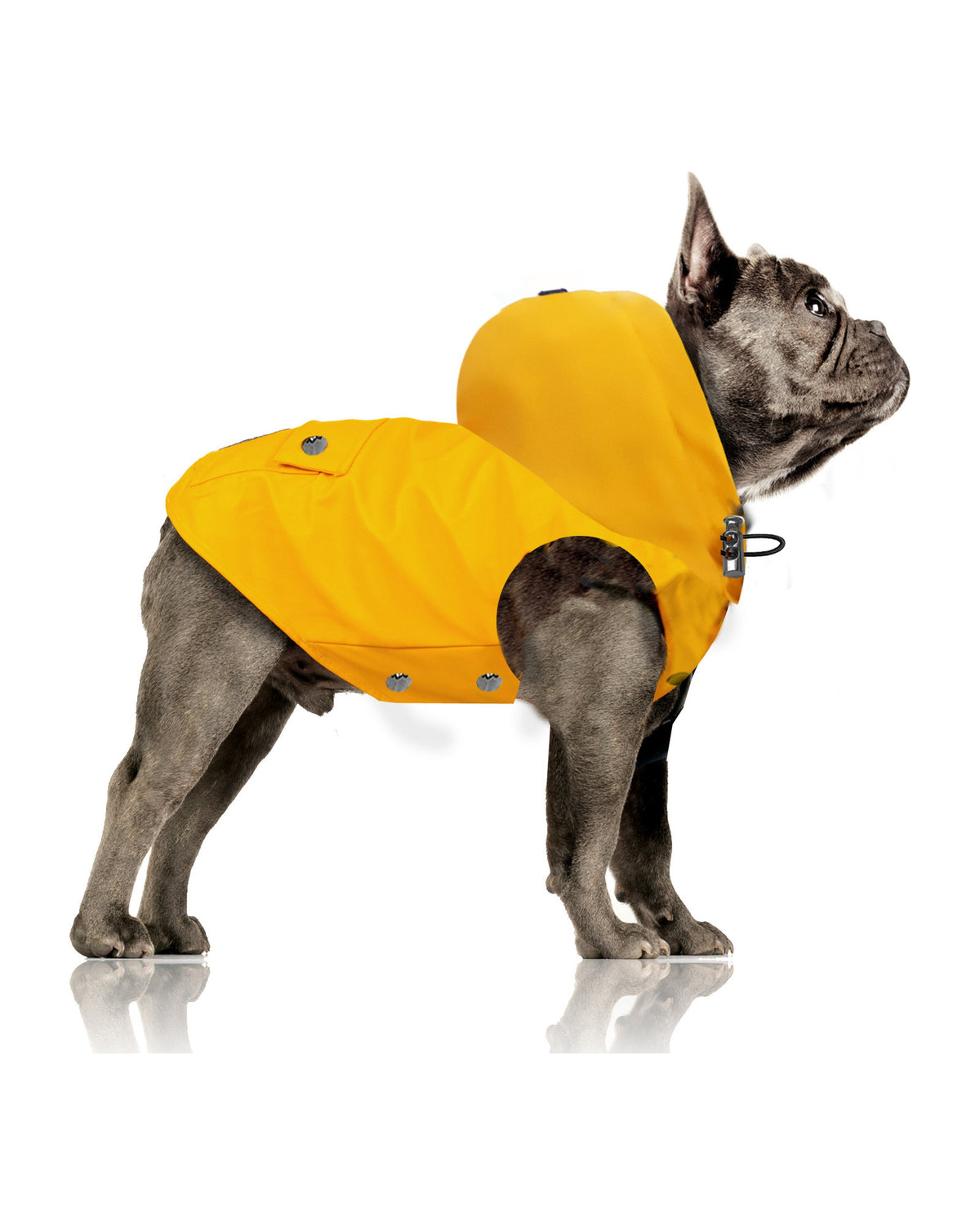 Çıkarılabilir Kapüşonlu Su Geçirmez Köpek Yağmurluğu Milk&Pepper Babord Raincoat
