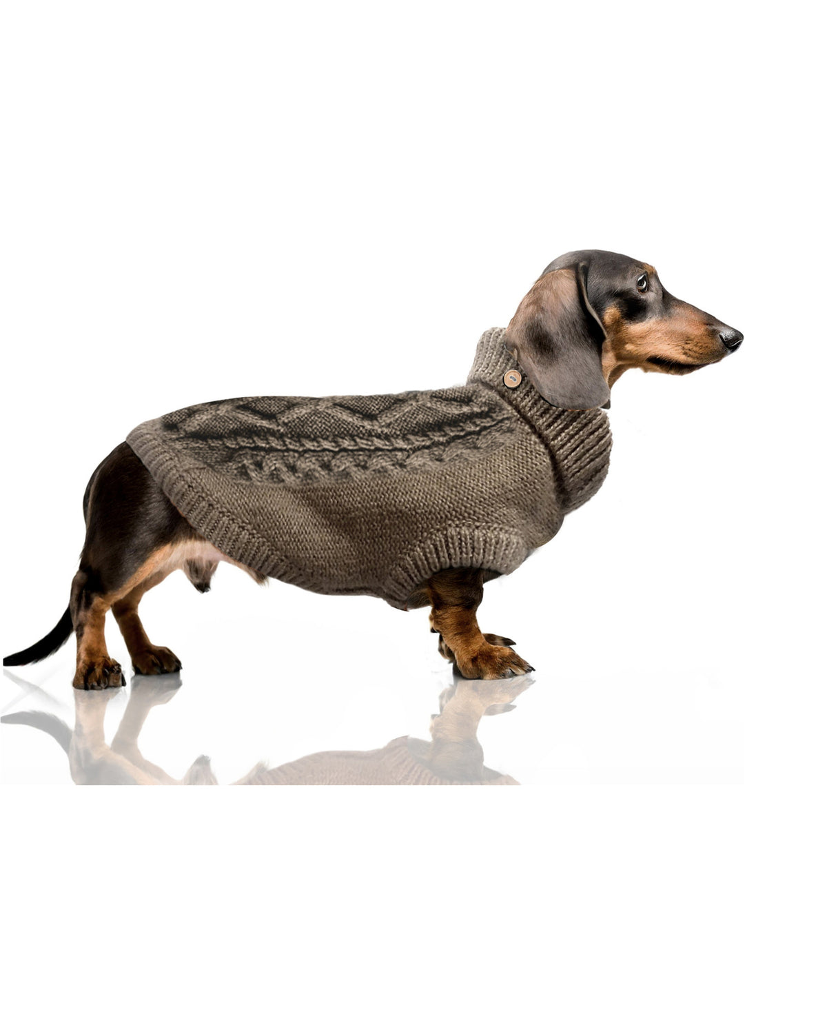 Saç Örgü Desenli Triko Köpek Kazağı Milk&Pepper Connor Sweater