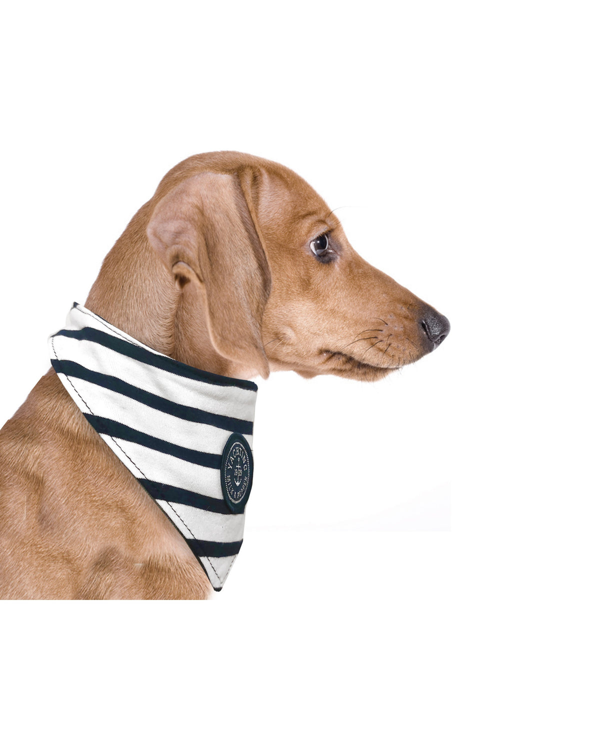 Çizgili Cırt Cırtlı Köpek Bandanası Milk&Pepper Gurvan Bandana