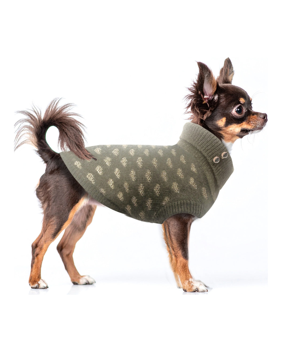Kalp Desenli Jakarlı Köpek Kazağı Milk&Pepper Alice Sweater Haki