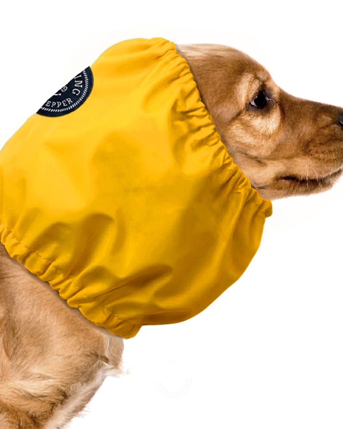 Su Geçirmez Köpek Boyunluğu Milk&Pepper Servan Waterproof Snood Sarı