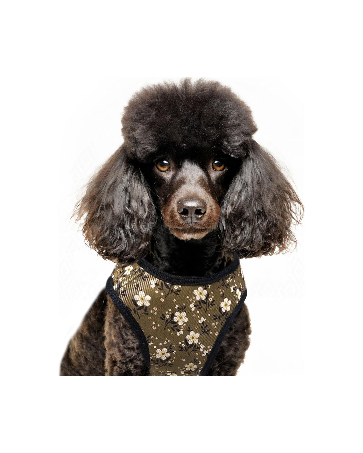 Çiçek Desenli Yelek Tipi Köpek Göğüs Tasması Milk&Pepper Bethany Harness Haki