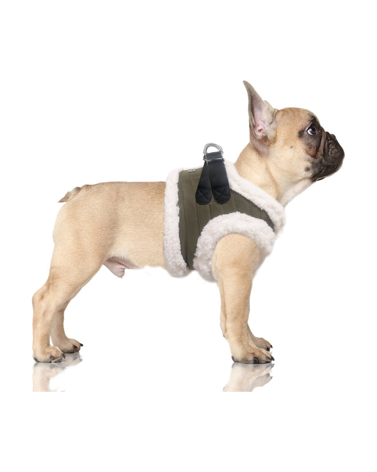 Kapitone Kürk Astarlı Köpek Göğüs Tasması Milk&Pepper Joakim Harness Haki