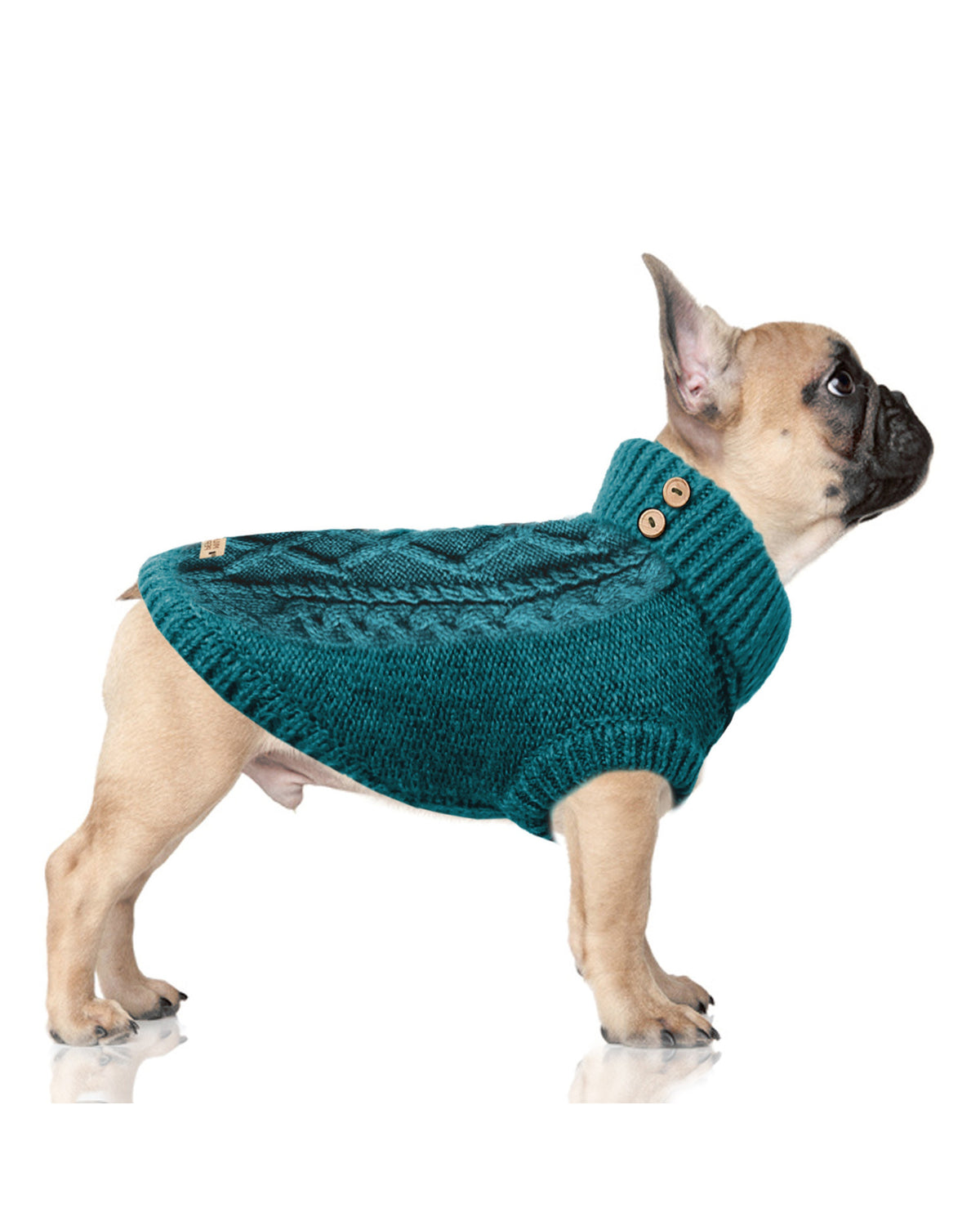 Saç Örgü Desenli Triko Köpek Kazağı Milk&Pepper Connor Sweater Petrol