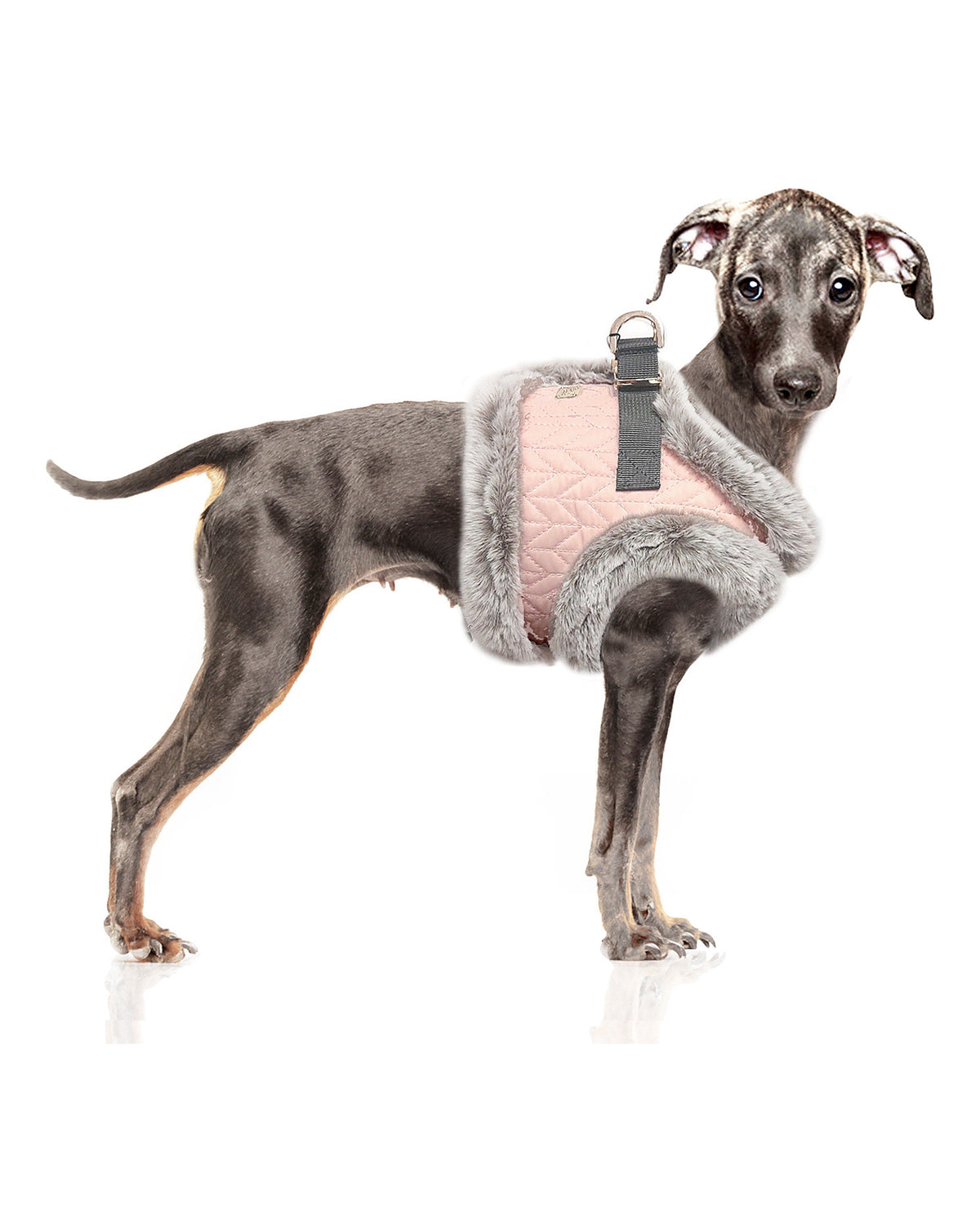 Kapitone Kürk Astarlı Köpek Göğüs Tasması Milk&Pepper Janette Harness Pembe
