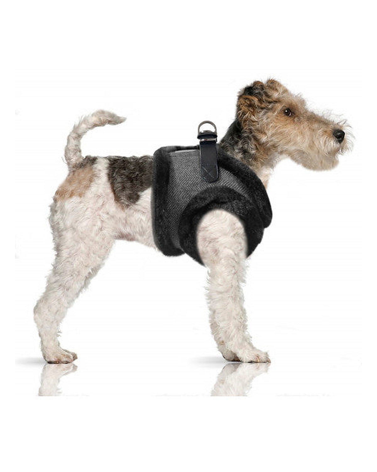 Balıksırtı Desenli Kürk Astarlı Köpek Göğüs Tasması Milk&Pepper Wallace Harness Gri