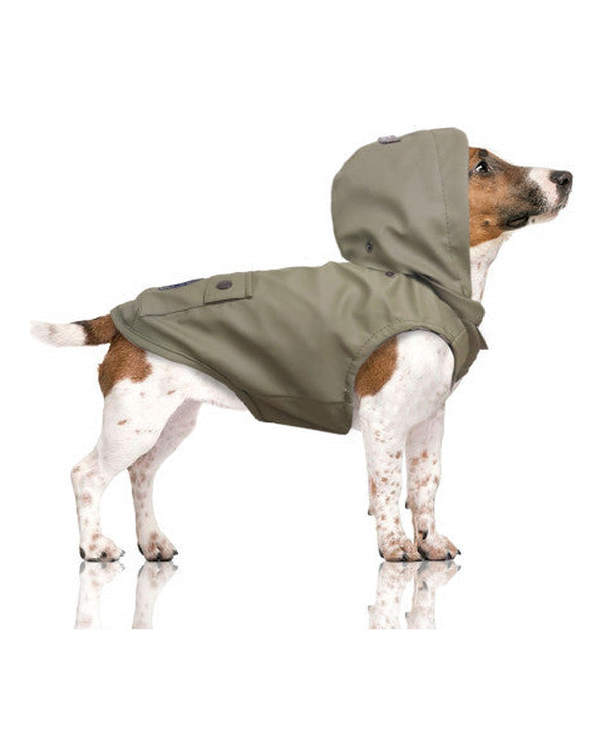 Çıkarılabilir Kapüşonlu Su Geçirmez Köpek Yağmurluğu Milk&Pepper Babord Raincoat