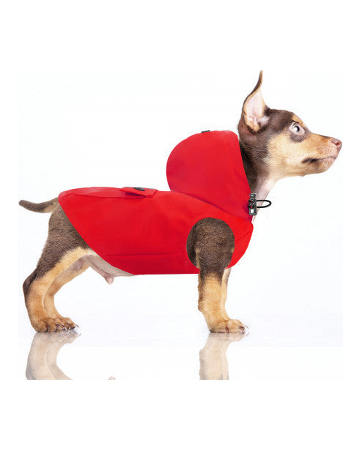 Çıkarılabilir Kapüşonlu Su Geçirmez Köpek Yağmurluğu Milk&Pepper Babord Raincoat