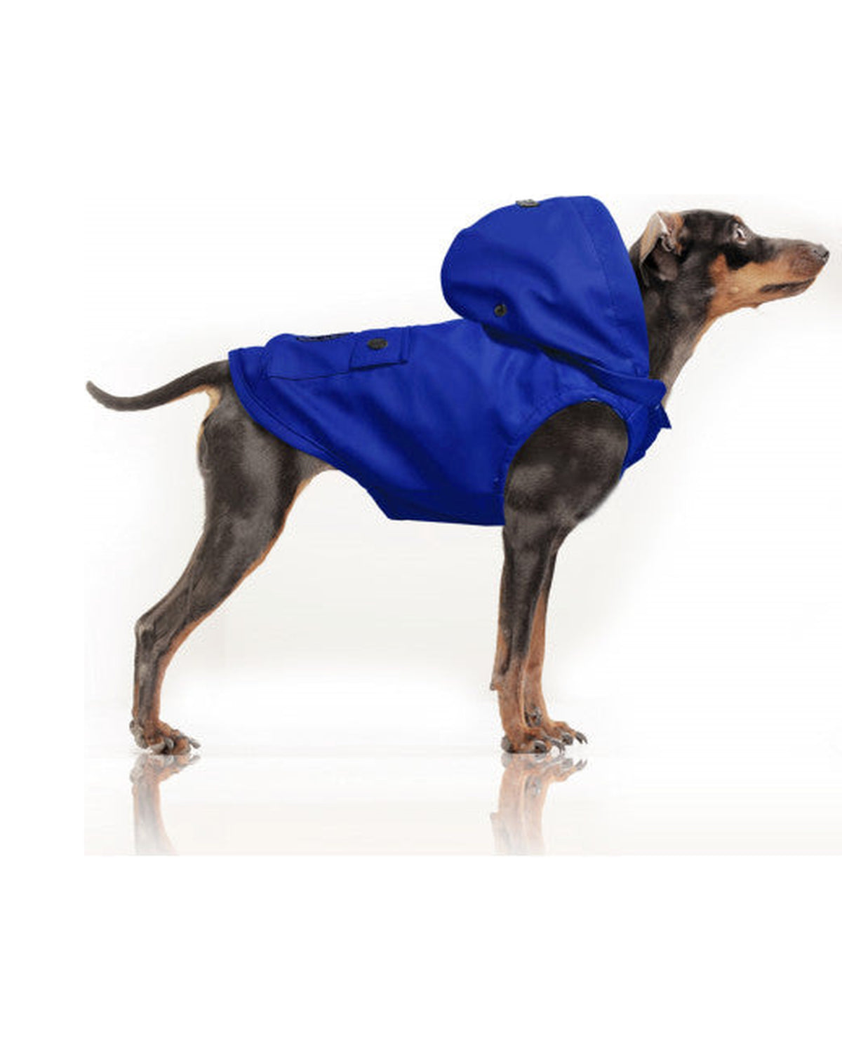 Çıkarılabilir Kapüşonlu Su Geçirmez Köpek Yağmurluğu Milk&Pepper Babord Raincoat