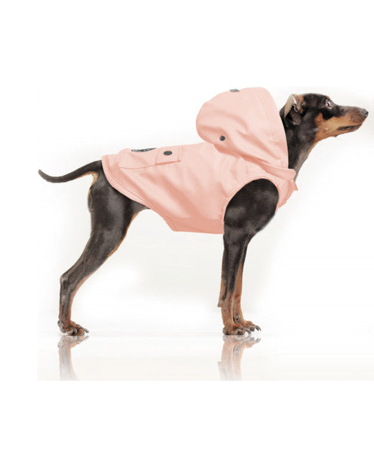 Çıkarılabilir Kapüşonlu Su Geçirmez Köpek Yağmurluğu Milk&Pepper Babord Raincoat