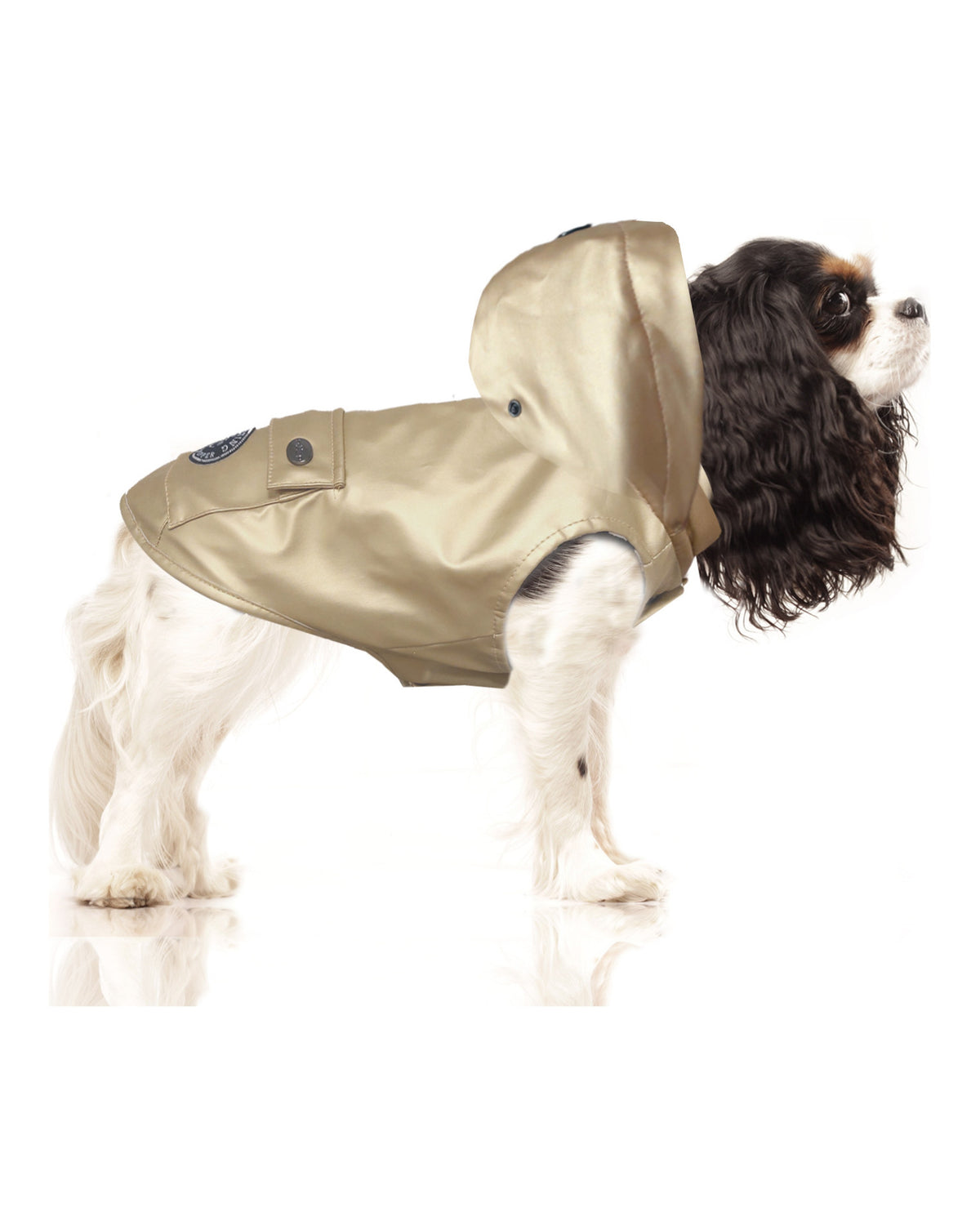 Çıkarılabilir Kapüşonlu Su Geçirmez Köpek Yağmurluğu Milk&Pepper Babord Raincoat