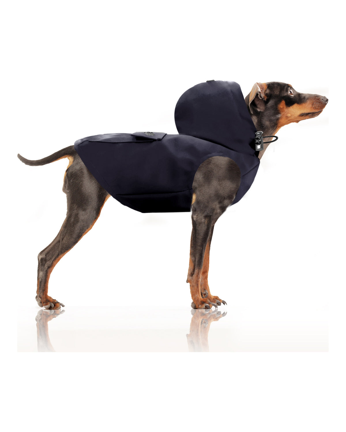 Çıkarılabilir Kapüşonlu Su Geçirmez Köpek Yağmurluğu Milk&Pepper Babord Raincoat
