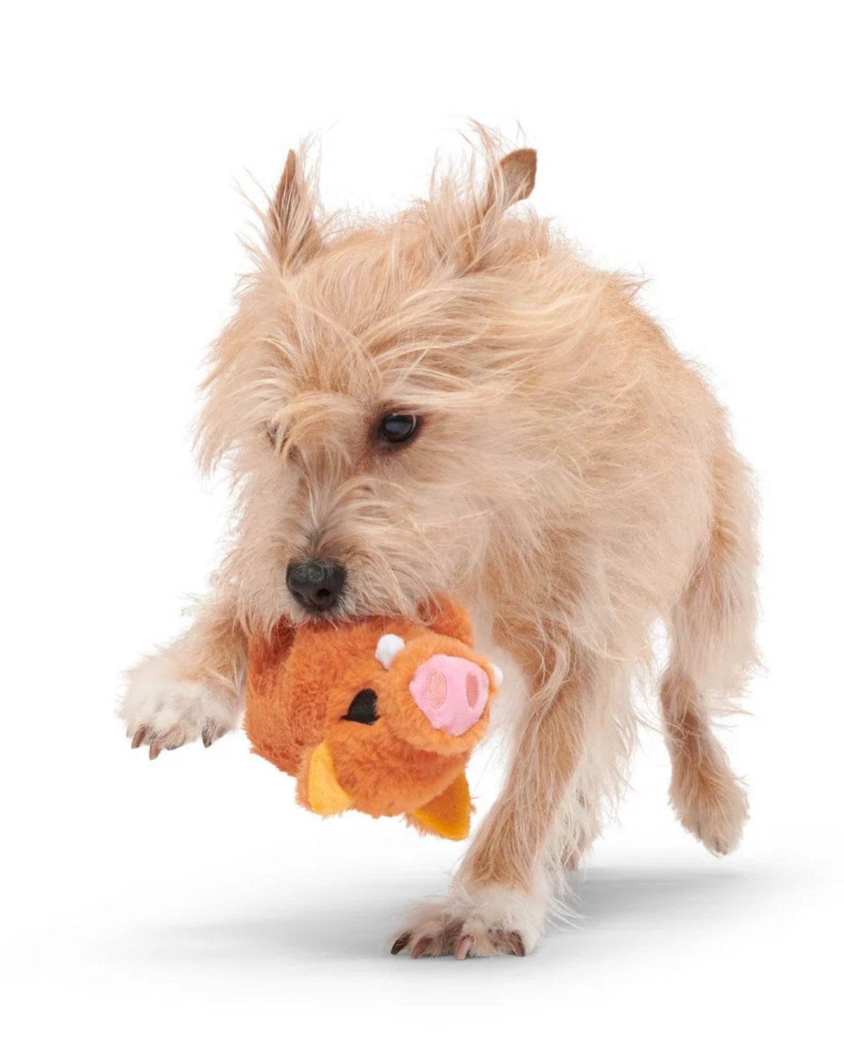 Yaban Domuzu Figürlü Peluş Köpek Oyuncağı BARK Beau the Boar