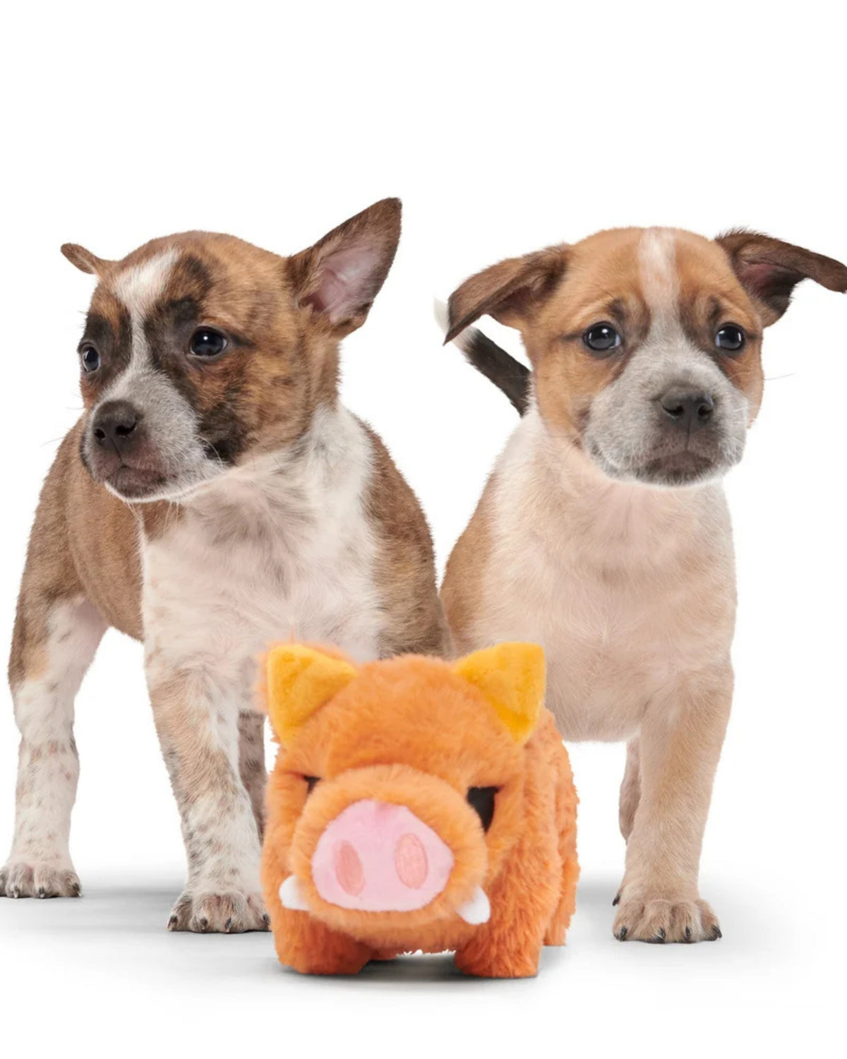 Yaban Domuzu Figürlü Peluş Köpek Oyuncağı BARK Beau the Boar