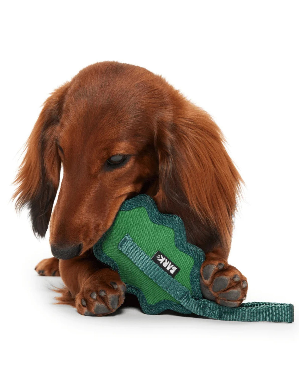 Yaprak Figürlü Çekiştirme Kayışlı Sert Çiğneyici Köpek Oyuncağı BARK A Green Chew Leaf