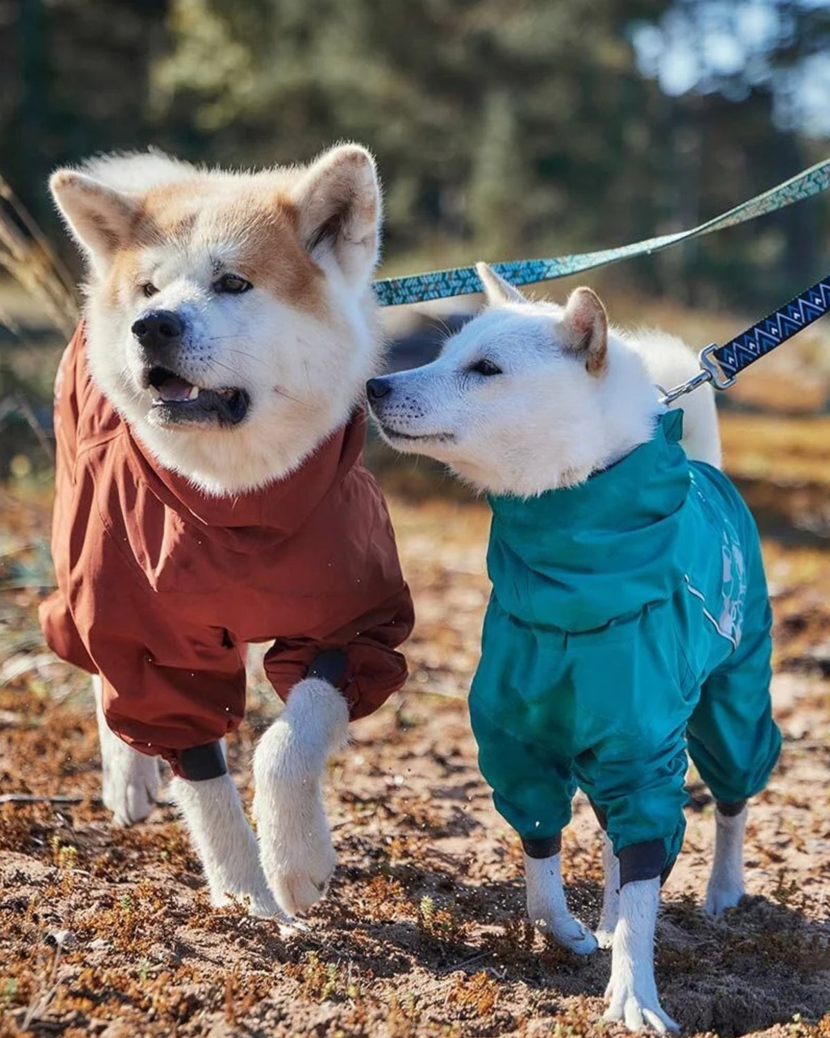 Yarım Fermuarlı Bantlı Dikişli Su Geçirmez Reflektörlü Köpek Yağmur Tulumu Hurtta Mudventure Overall ECO