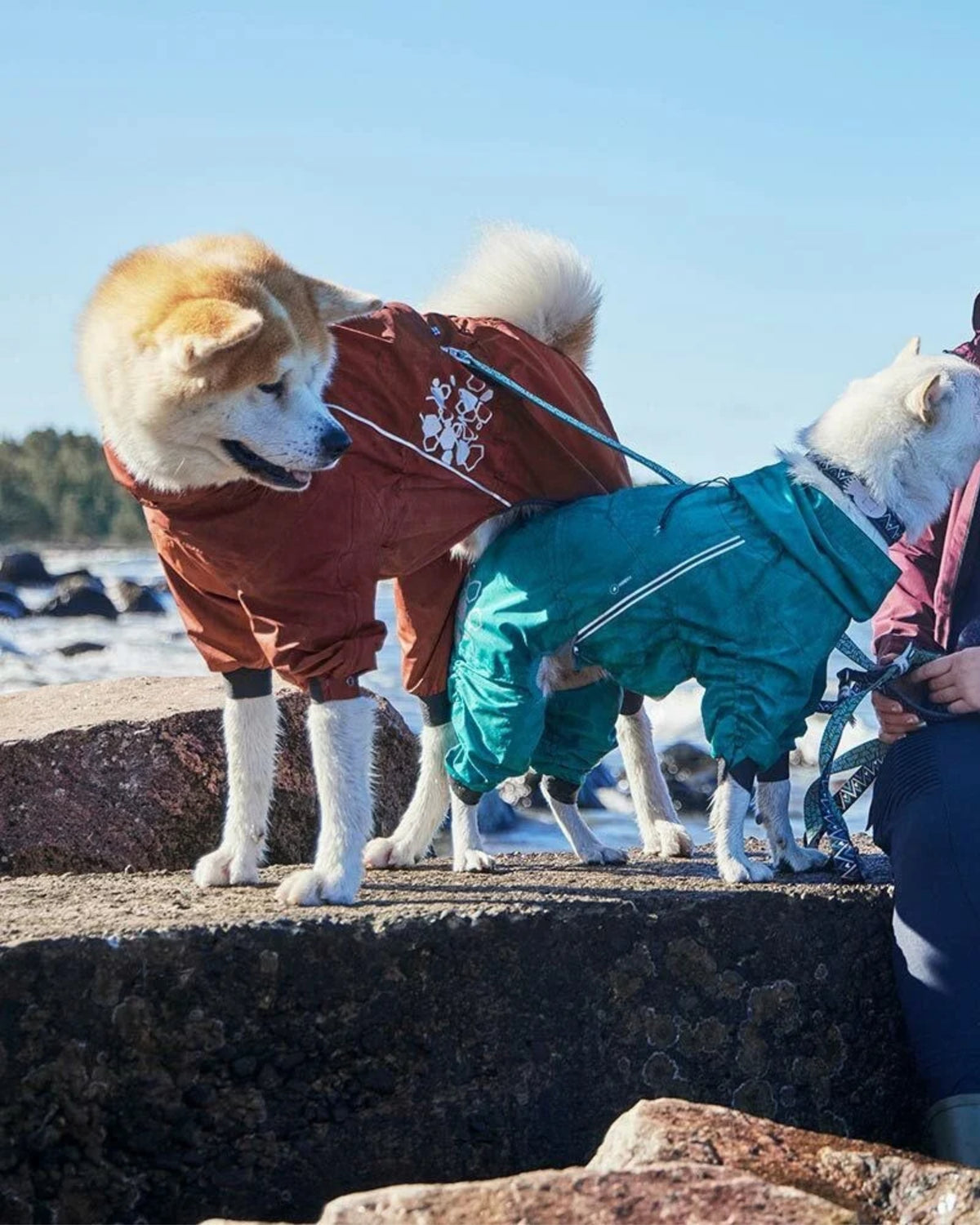 Yarım Fermuarlı Bantlı Dikişli Su Geçirmez Reflektörlü Köpek Yağmur Tulumu Hurtta Mudventure Overall ECO