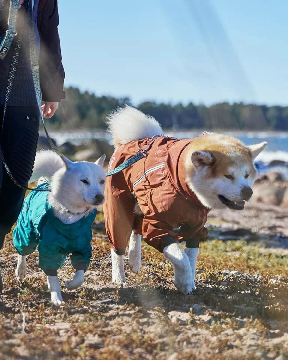Yarım Fermuarlı Bantlı Dikişli Su Geçirmez Reflektörlü Köpek Yağmur Tulumu Hurtta Mudventure Overall ECO