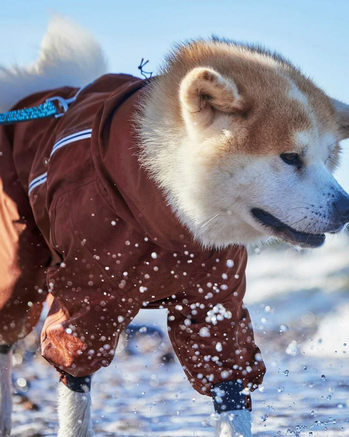 Yarım Fermuarlı Bantlı Dikişli Su Geçirmez Reflektörlü Köpek Yağmur Tulumu Hurtta Mudventure Overall ECO