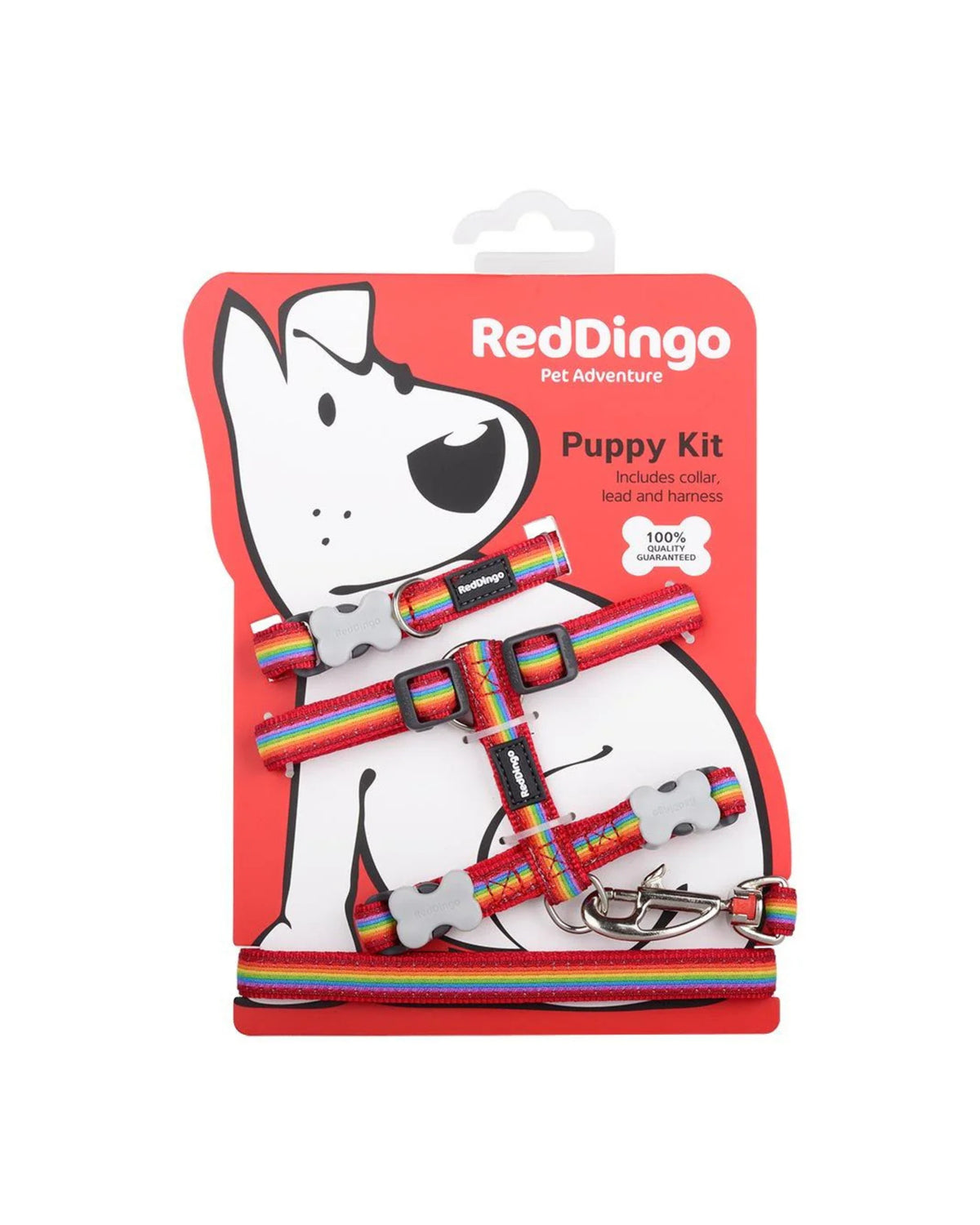 Yavru Köpek Tasma Seti Red Dingo Puppy Kit Rainbow