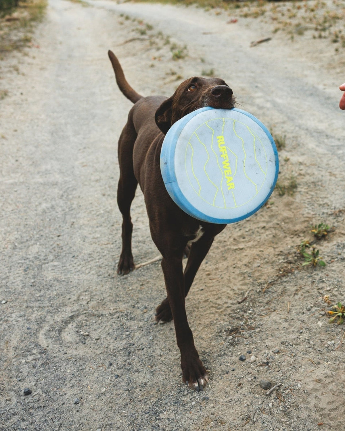 Yumuşak Köpek Frizbisi Ruffwear Camp Flyer Kırmızı