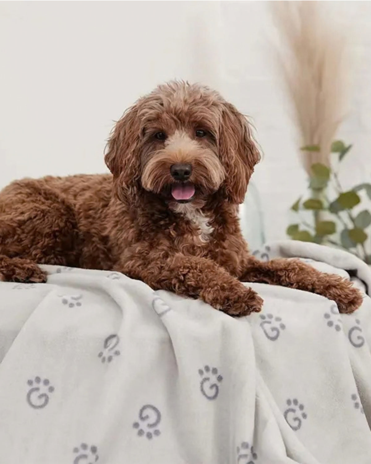 Yumuşak Polar Köpek ve Kedi Battaniyesi Pati Logolu Evcil Hayvan ve Sahibi İçin GF Pet Logo Blanket Gri